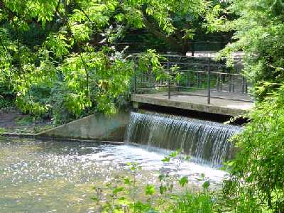 Wasserkaskade im Buschbereich des Parkes