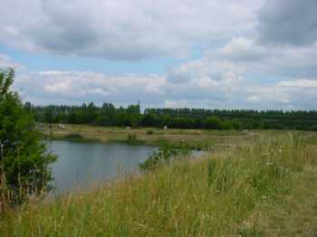 Wasser, hohes Gras, weite Wiesen und Wege: Platz zum Austoben fr eingeengte Stadt-Hunde