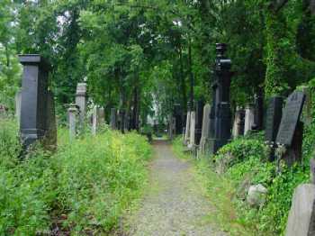 stiller Weg durch den Grnbereich des Friedhofes