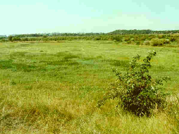 LSG Blankenfelde ist flaches Rieselfeldland