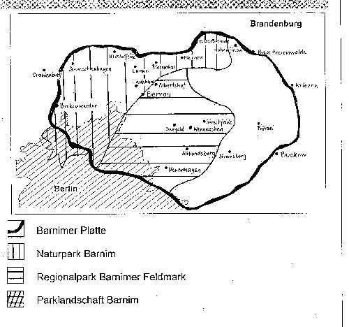 Schematische Darstellung der Barnimer Platte